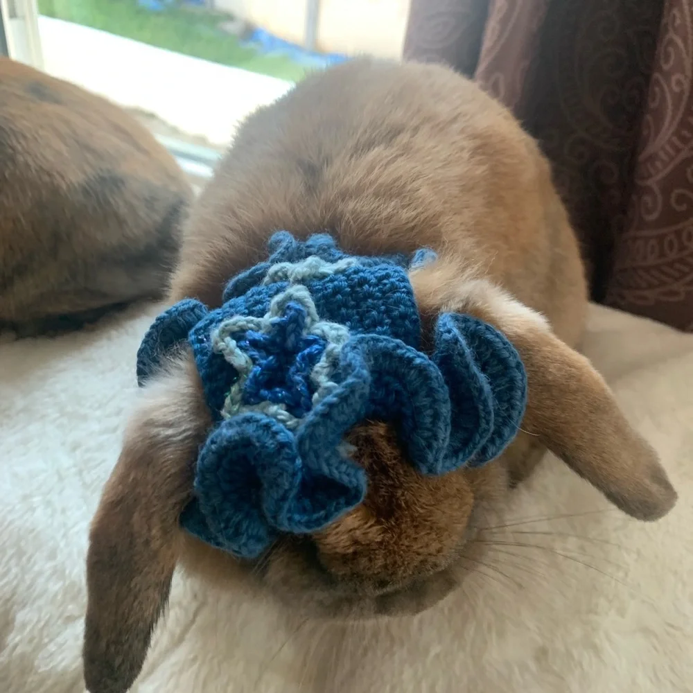 Small pet hats: bunnies, cats, small dogs